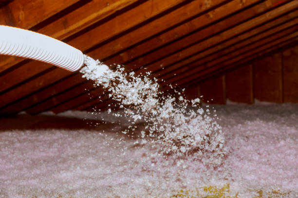 Best Insulation Maintenance and Repair in Dillon, CO