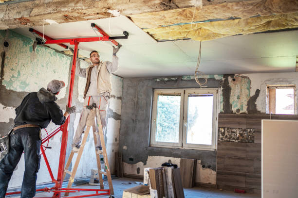 Best Insulation Installation Services in Dillon, CO